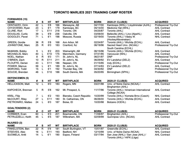 the Training Camp Roster - Toronto Maple Leafs